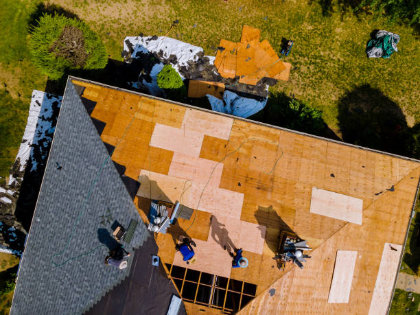 Best Storm Damage Roof Repair  in Palos Hls, IL